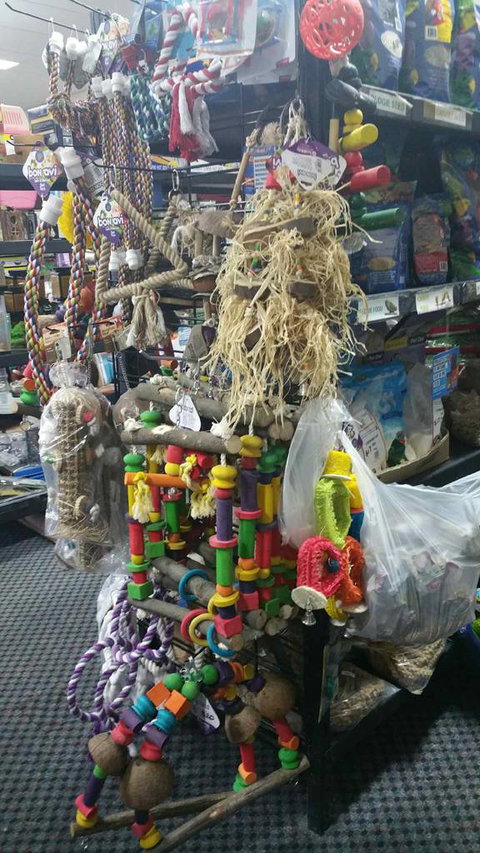 Absolutely Fish And Pets - Sydney Vets 4