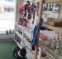 Scratch  Sniff - Sydney Vets